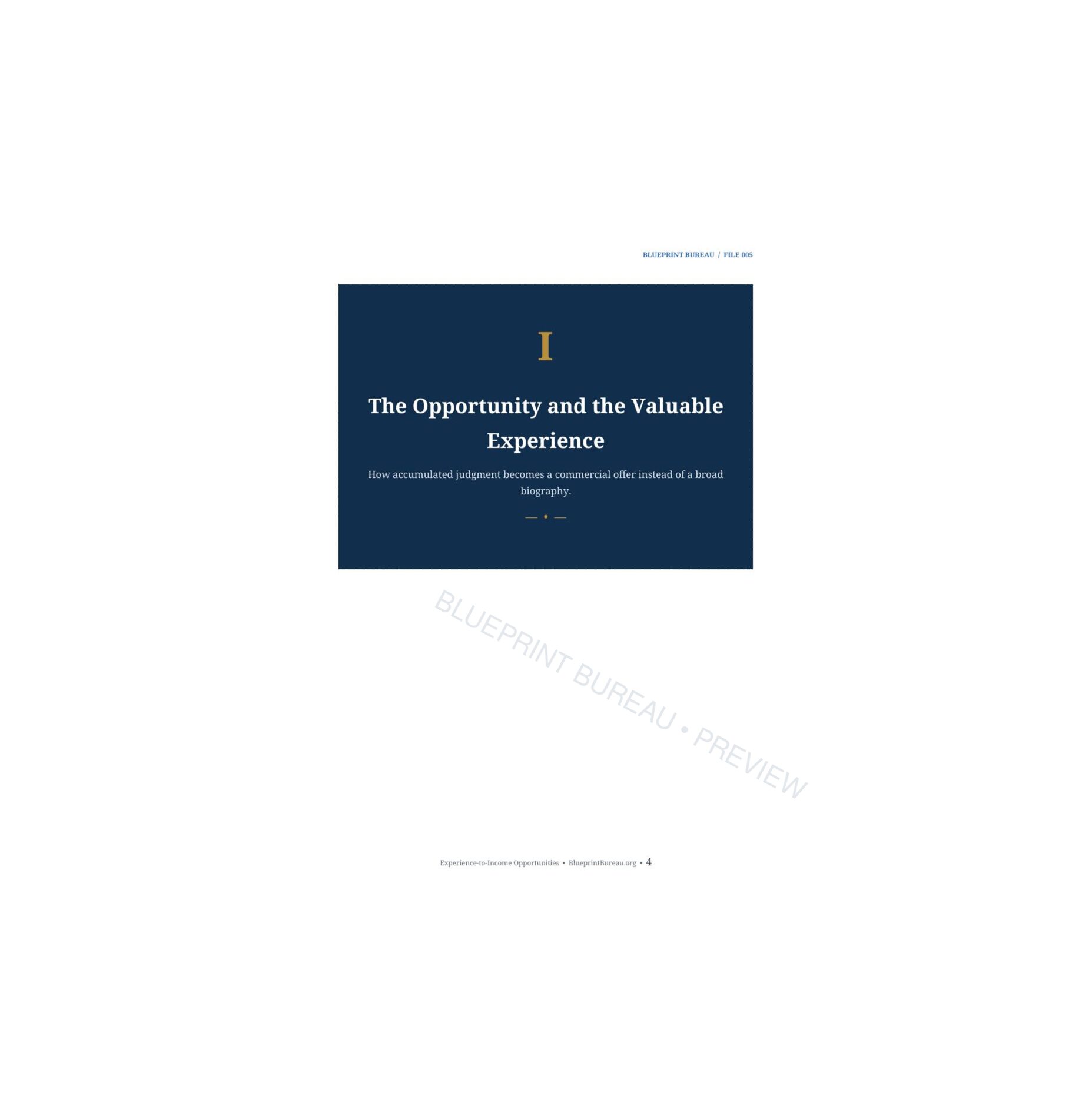 Experience-to-Income Opportunities contents preview